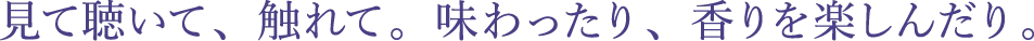見て聴いて、触れて。味わったり、香りを楽しんだり。