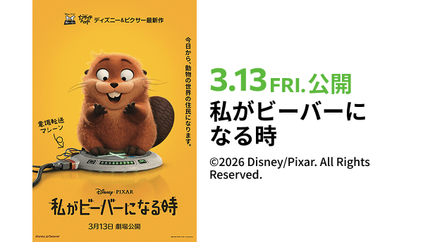 私がビーバーになる時