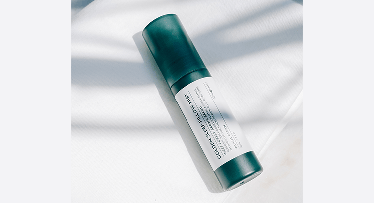 ブレインスリープ