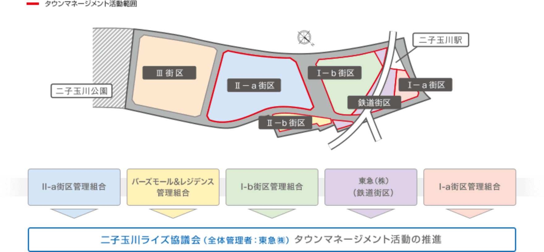 タウンマネージメント活動の推進体制