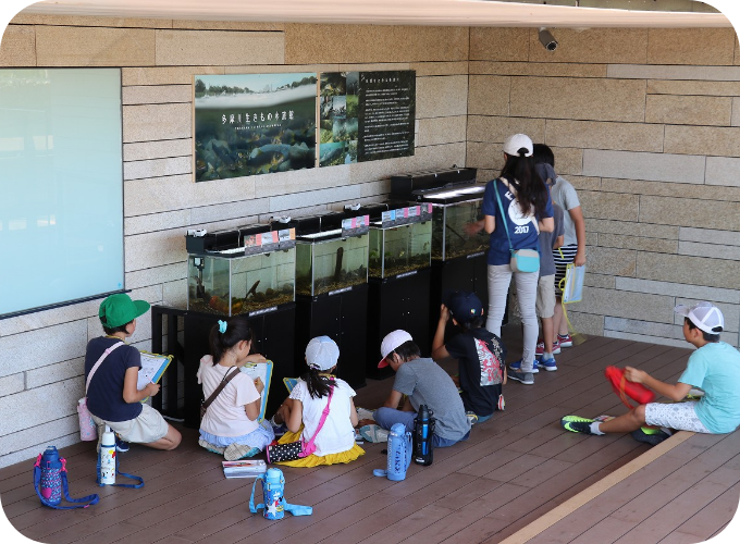 めだかの池・多摩川いきもの水族館