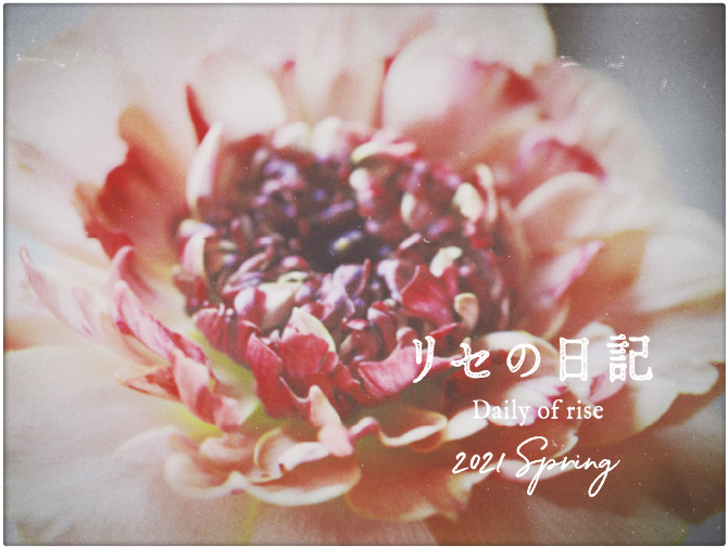 リセの日記