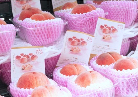 【コスパ】福岡県産　まんぷく応援米 25kg 送料無料 子育て世帯応援 夏のおいしいふくしまフェア2026 | イベント＆ニュース | 二子玉川ライズ