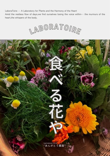 ボカシ背景画像