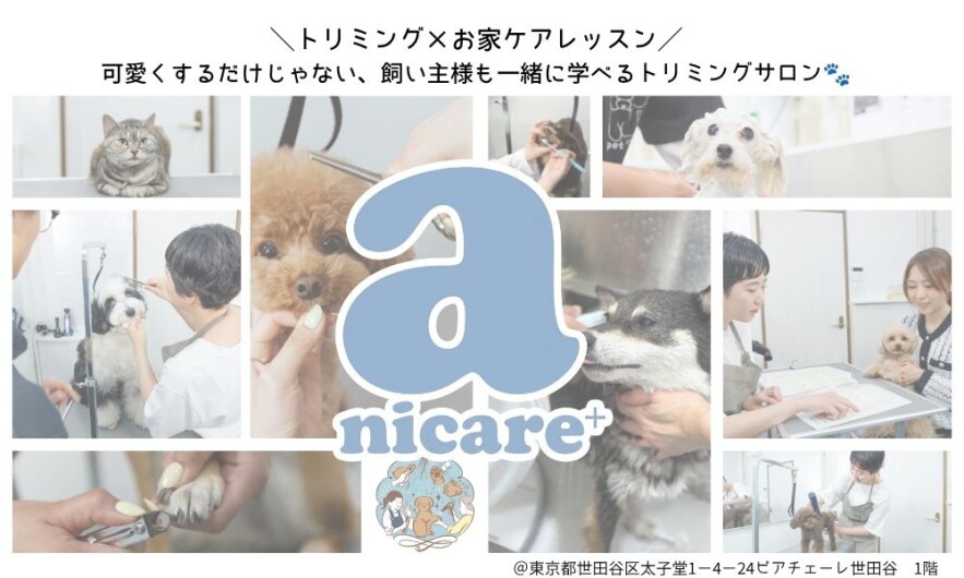 ボカシ背景画像