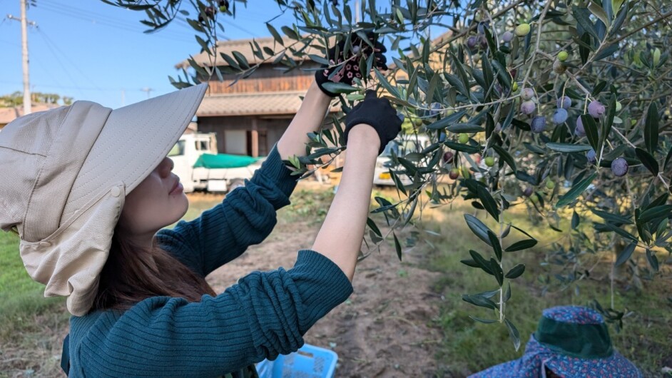 ボカシ背景画像