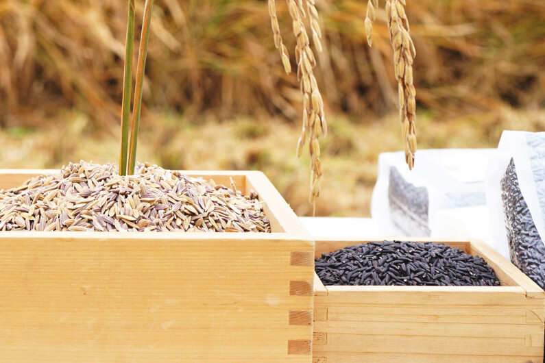 ボカシ背景画像