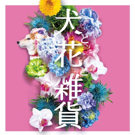 ボカシ背景画像