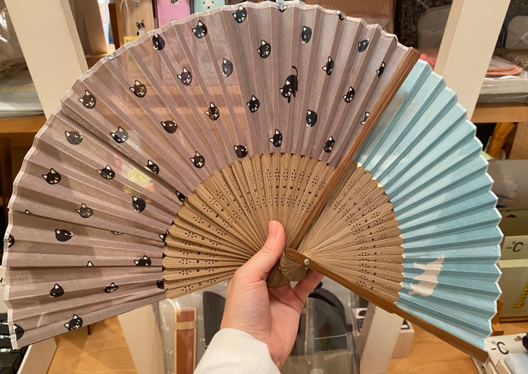 いよいよ夏本番☀️