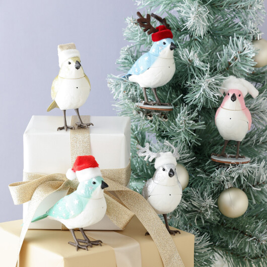 人気アイテム✨ミュージックバードのクリスマス限定バージョンをご紹介します🐥🎤