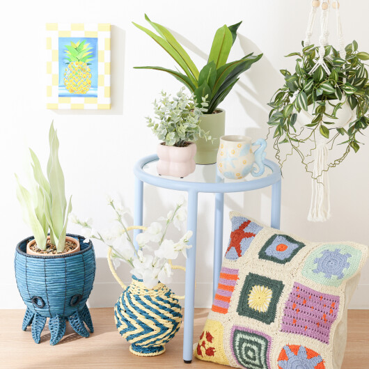 【NEW✨】遊び心溢れるデザインのバスケットと、癒しを与えてくれるグリーンが登場しました🐙🌿
