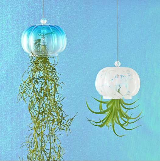 【NEW✨】クラゲモチーフで涼しげなアートグリーンをご紹介します🪼🩵