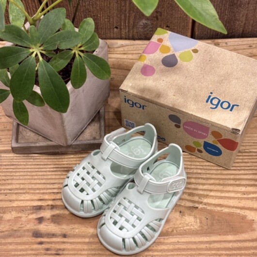 Igor  “TOBBY” 入荷いたしました♪