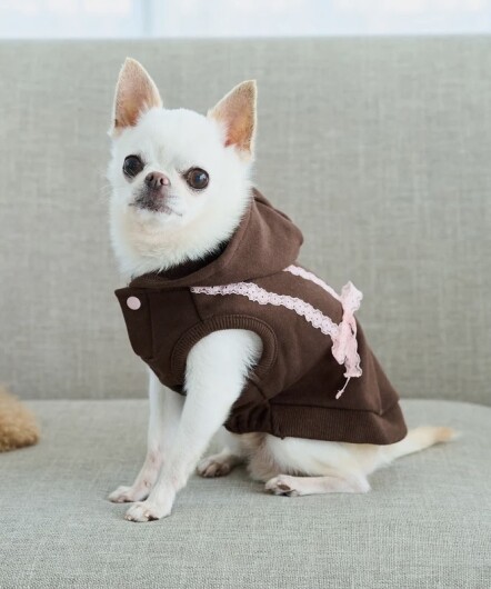 「DOGアイテム」期間限定入荷中です🐶