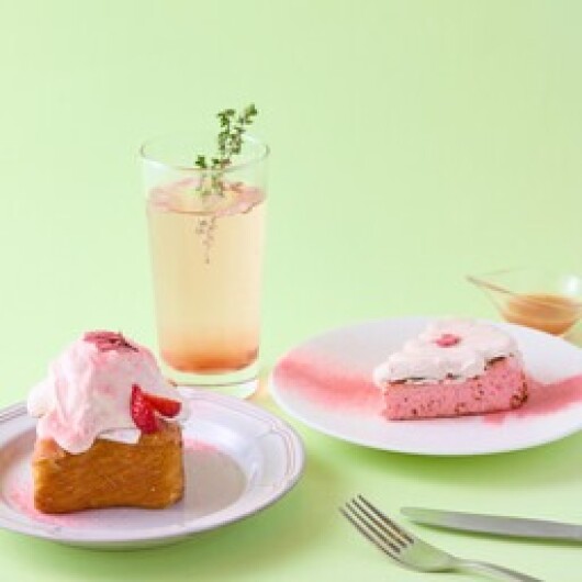 chano-ma  春のメニュースタートしました！