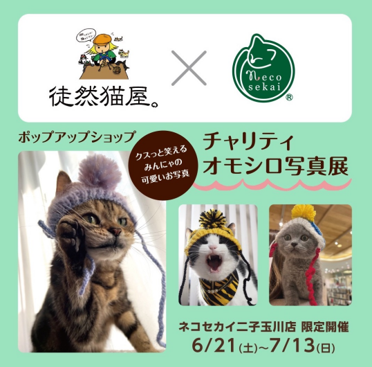 necosekai✖️徒然猫屋。　チャリティオモシロ写真展