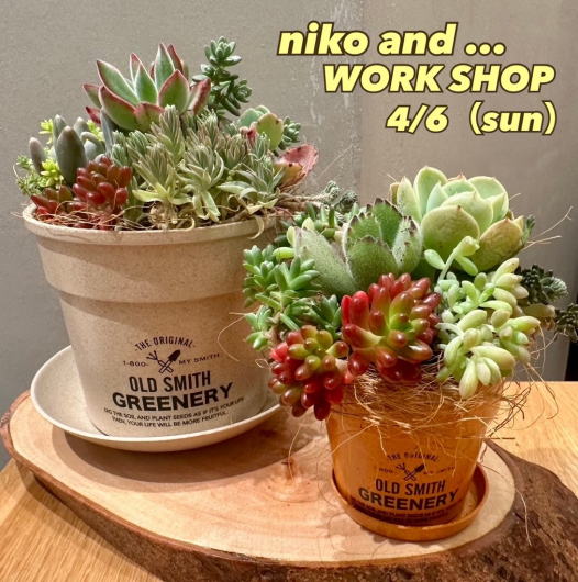 niko and ... 4月ワークショップのお知らせ🪴
