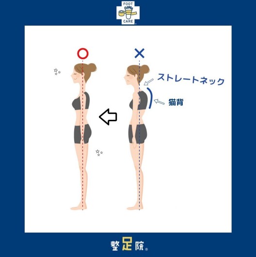 足と姿勢の関係