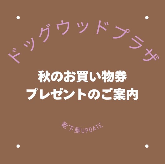 新生活の準備や秋物ご購入は今がお得！！！