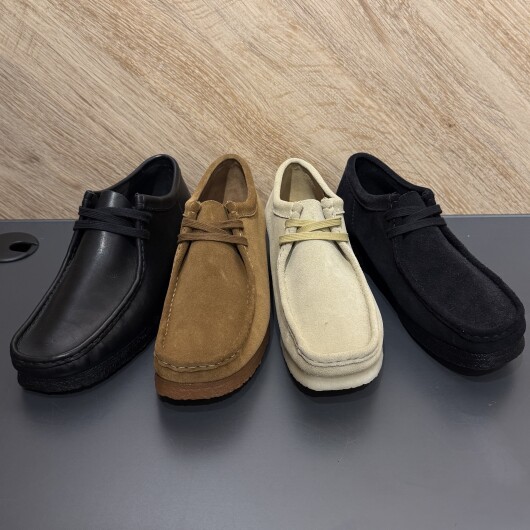 スタッフのおすすめ