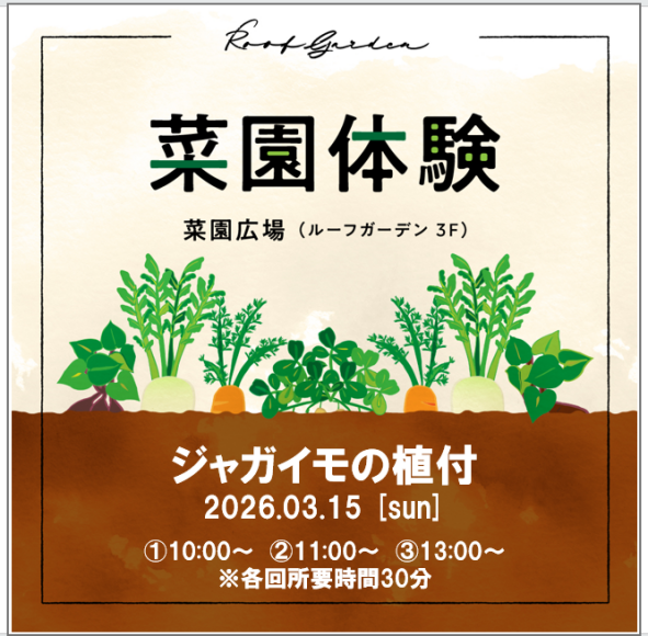 菜園体験（ジャガイモの植付）のお知らせ