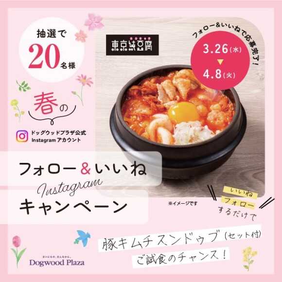 春のインスタフォローキャンペーン