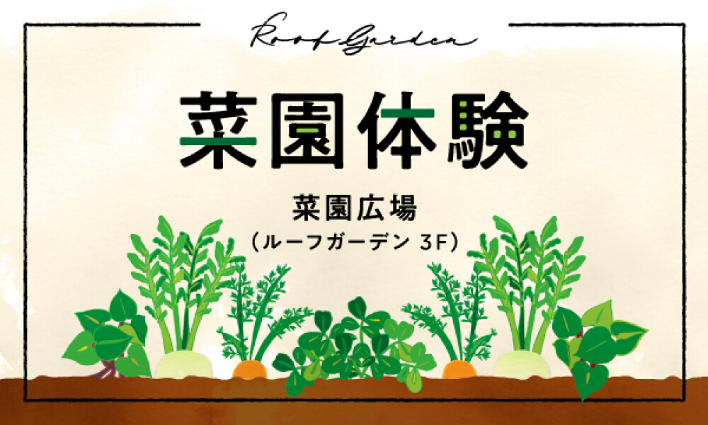 【菜園体験】二子玉川ライズの菜園で野菜を育てよう！