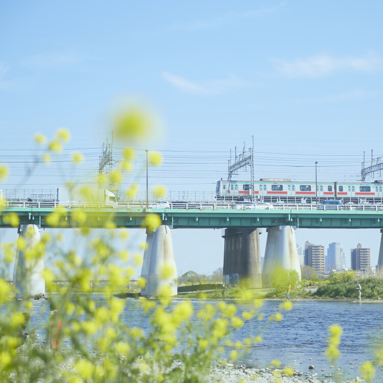 電車_春