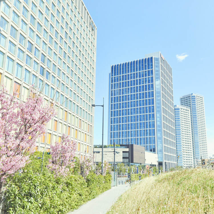 春オフィス