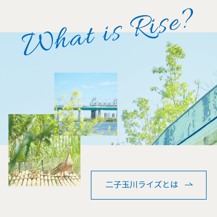 【常時掲出】What is Rise？