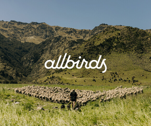 【期間限定OPEN】Allbirds