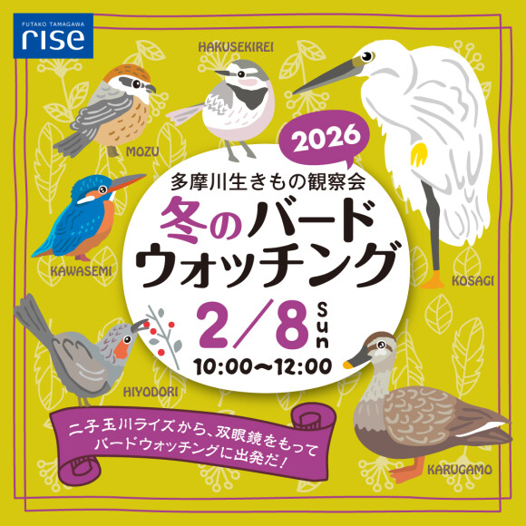 多摩川生きもの観察会～冬のバードウォッチング～