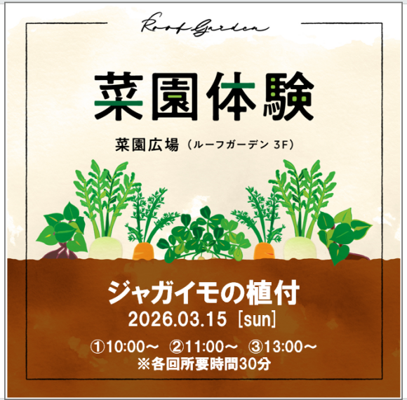 菜園体験（ジャガイモの植付）のお知らせ