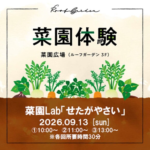 菜園体験（菜園Lab「せたがやさい」）