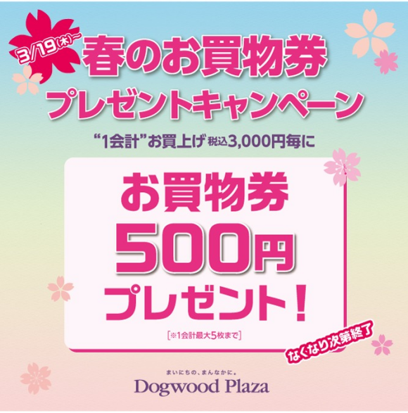 春のお買物券プレゼントキャンペーン