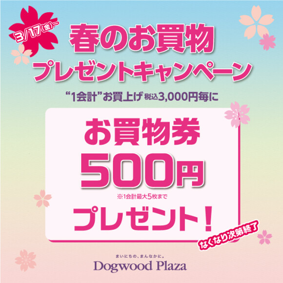 春のお買物 プレゼントキャンペーン
