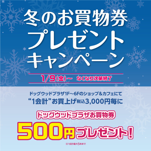 冬のお買物券プレゼントキャンペーン