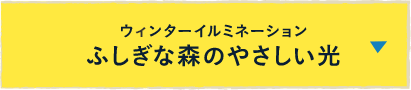 ウィンターイルミネーション ふしぎな森のやさしい光