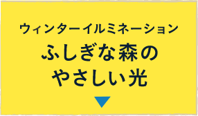 ウィンターイルミネーション ふしぎな森のやさしい光