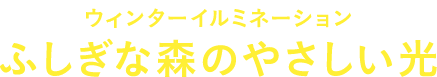 ウィンターイルミネーション ふしぎな森のやさしい光