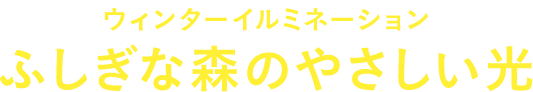 ウィンターイルミネーション ふしぎな森のやさしい光