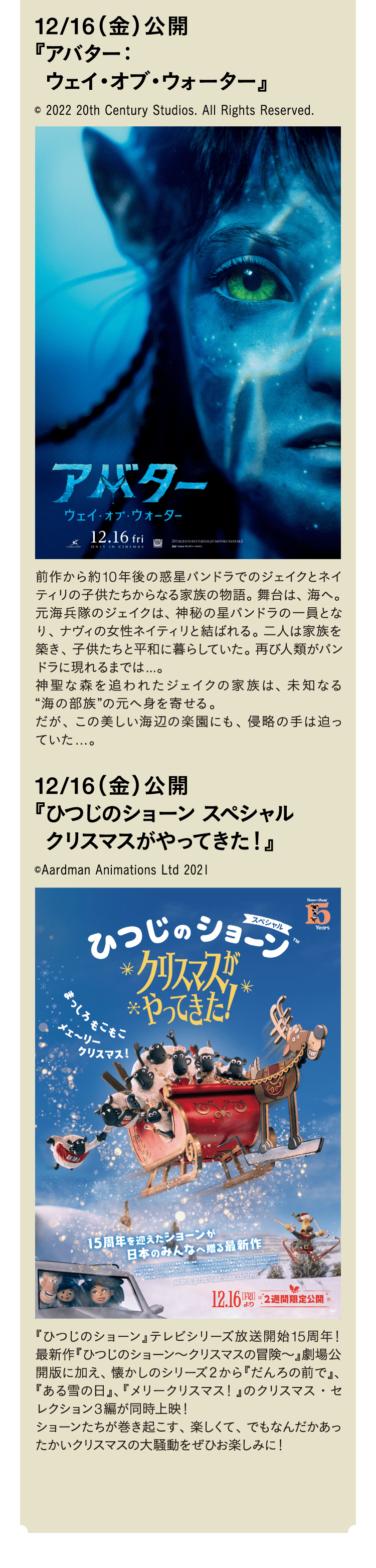 winter-rise-2022